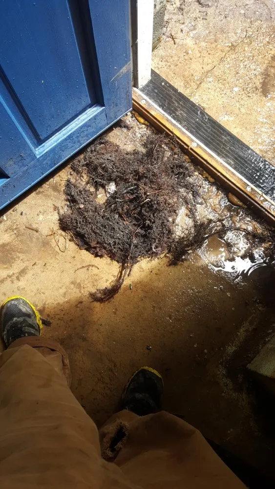 Slide of Discount Drain Cleaning