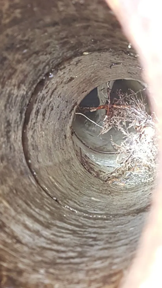 Expert plumbing repair experts serving Greensboro, NC - Discount Drain Cleaning