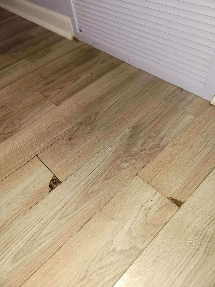 Slide of Discount Drains: Plumbing, Drains, Water Heaters & More