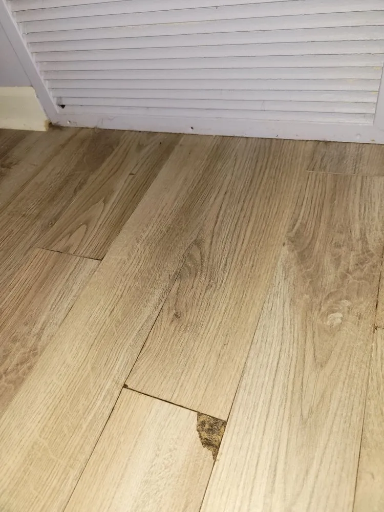 Slide of Discount Drains: Plumbing, Drains, Water Heaters & More