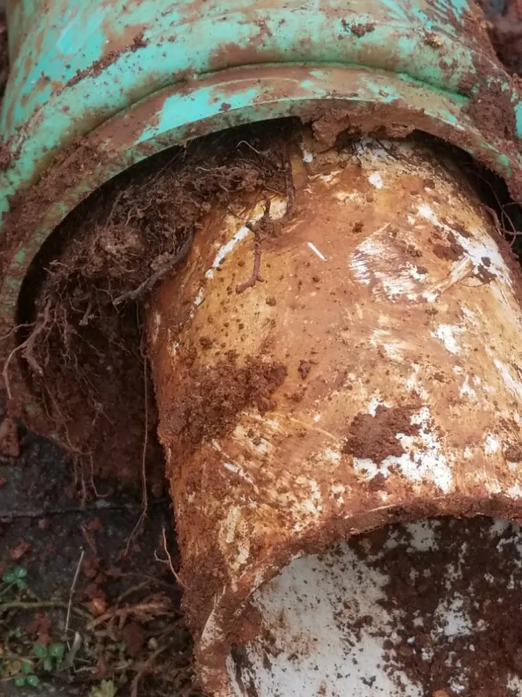 Slide of Discount Plumbing & Repair