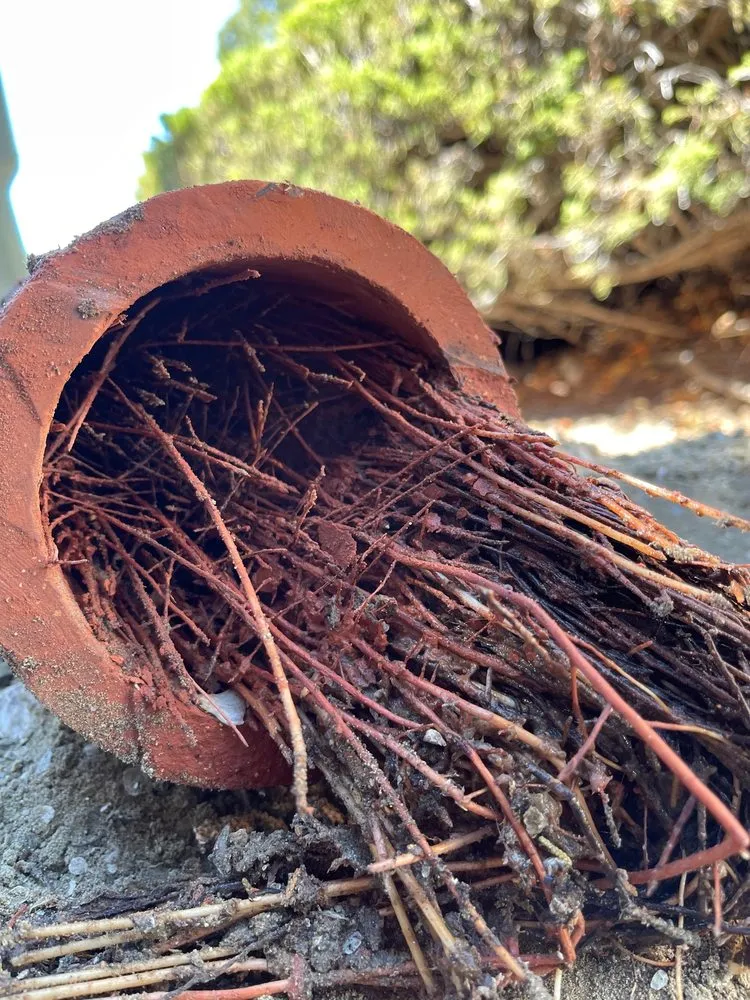 Slide of Discount Plumbing & Rooter