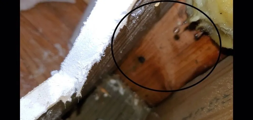 Slide of Discount Plumbing