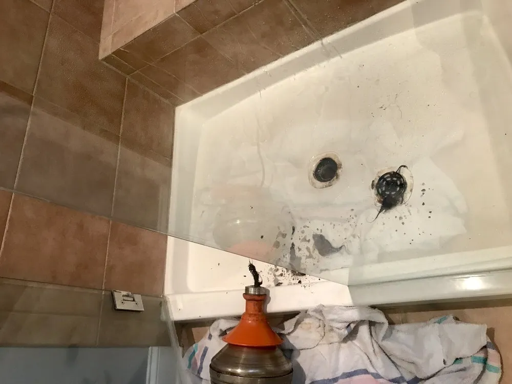 Slide of Discount Rooter