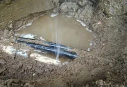 Slide of Discount Service Company