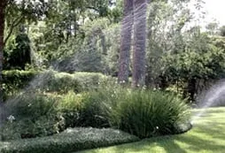 Expert drain cleaning for homes in Fort Worth, TX by Discount Service Company