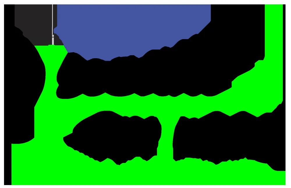 Slide of Discount Service Company