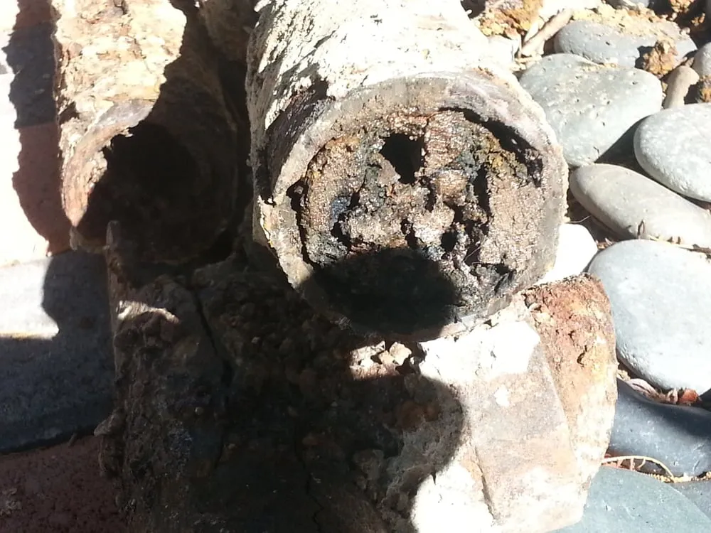 Slide of Discounted Rooter