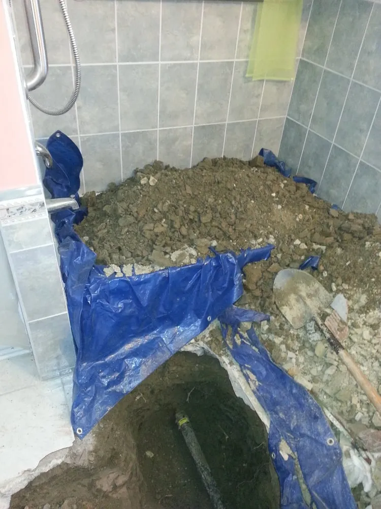 Slide of Discounted Rooter