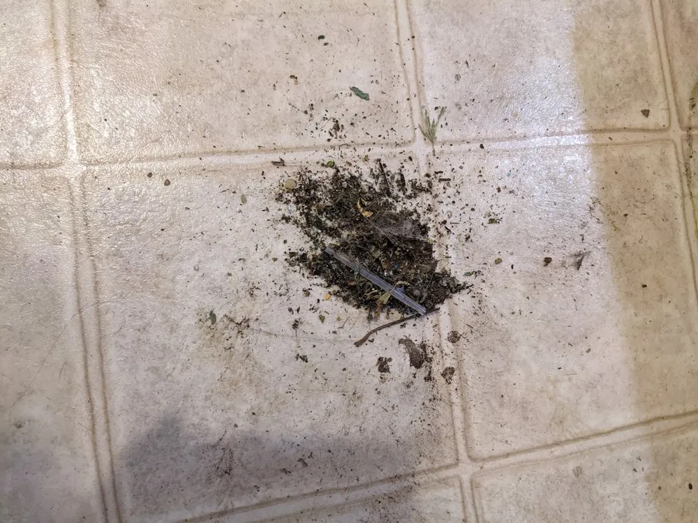 Slide of Diversified Heating & Cooling