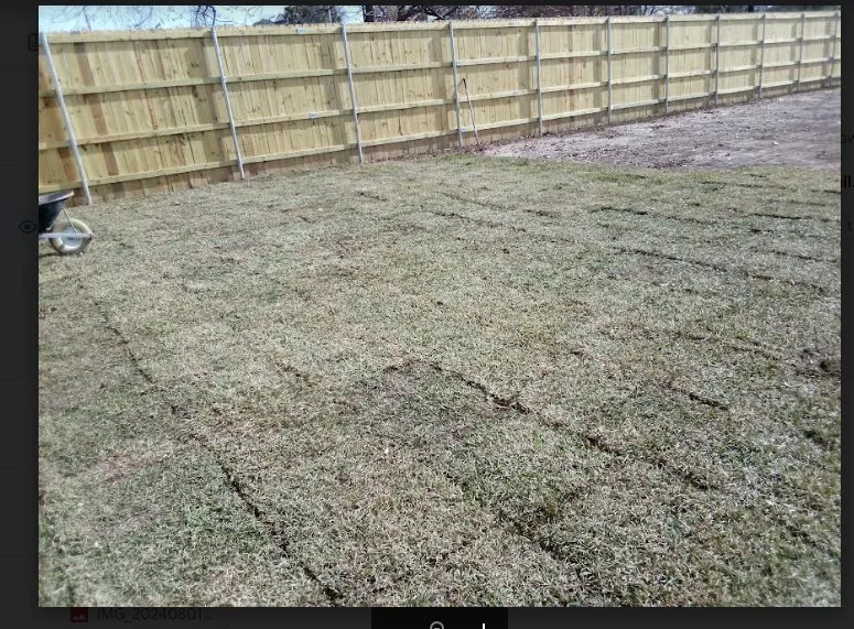 Slide of Divine Anglez