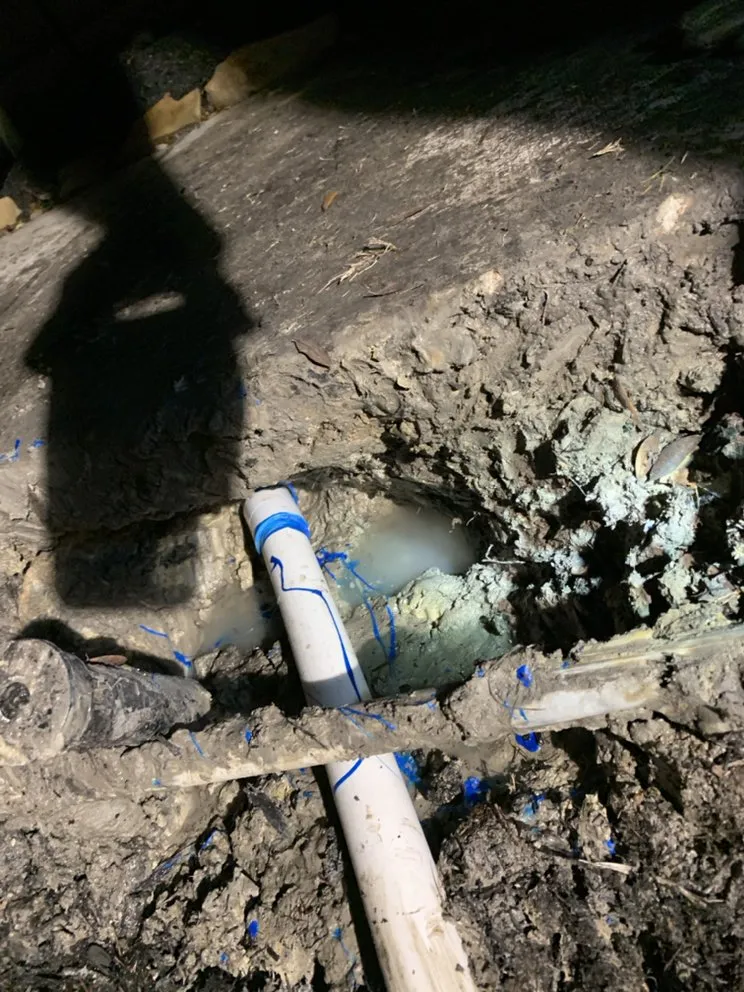 Professional plumbing repair service in Cypress, TX - Divine Dexterity Plumbing Services