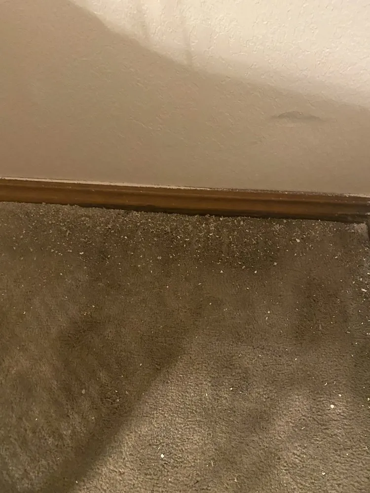 Professional plumbing repair service in St. George, UT - Dixie Drain Doctor