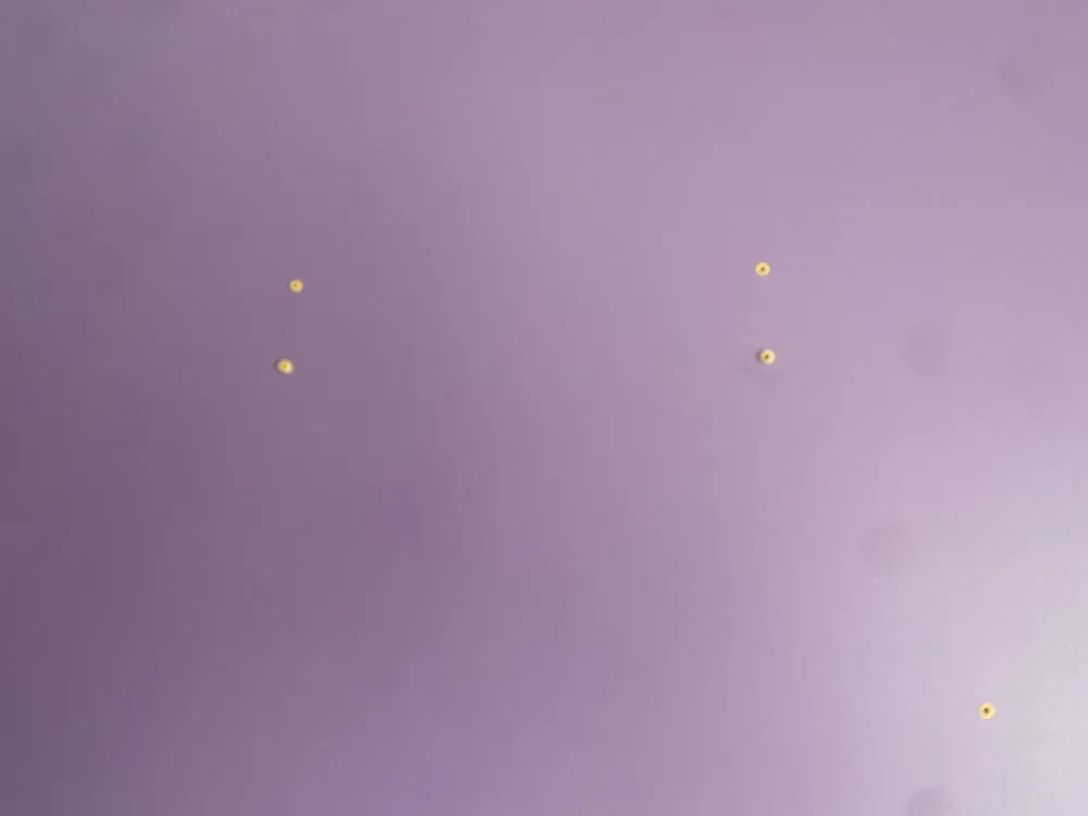 Slide of DJ and Company