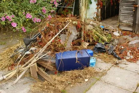 Slide of D.J. Trashout & Repair