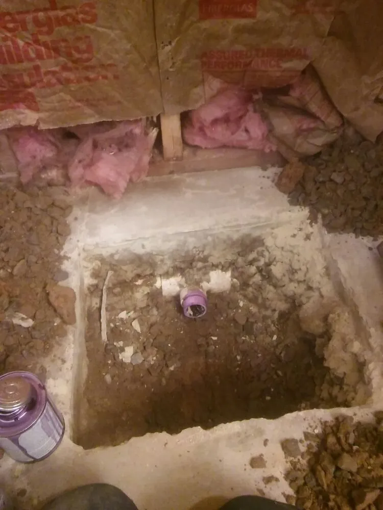 Slide of DK & C DeLuca