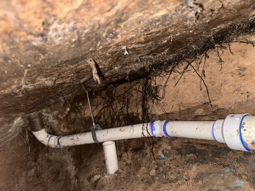 Slide of DL Excavation Services