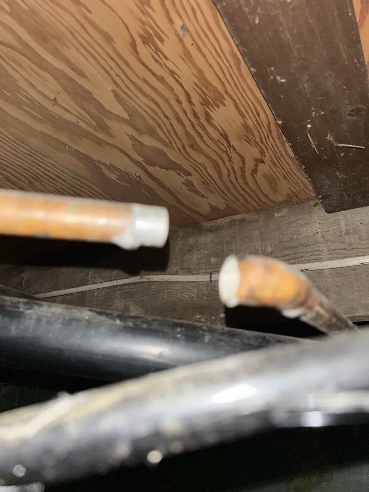 Slide of DLS mechanical