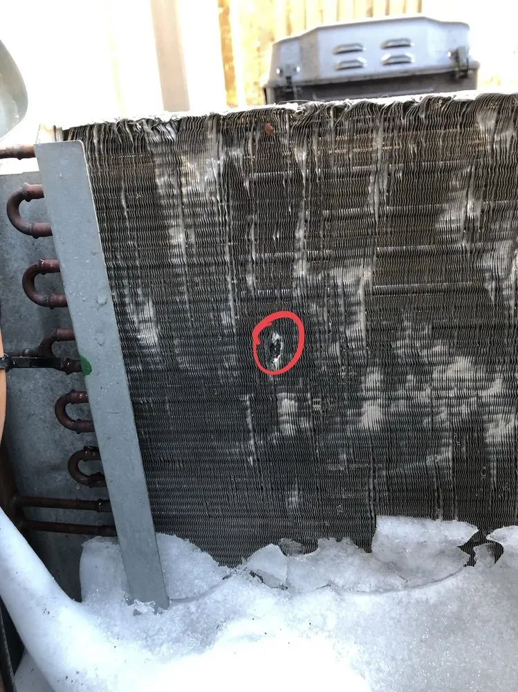 Slide of DM Select Services