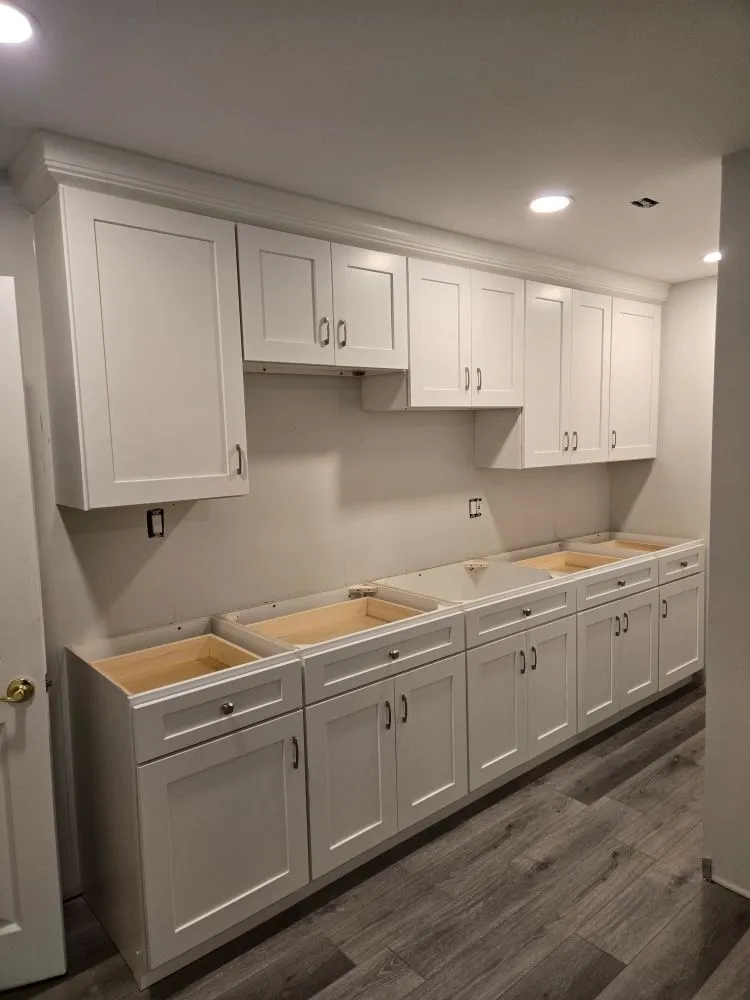 Slide of DMD Handyman