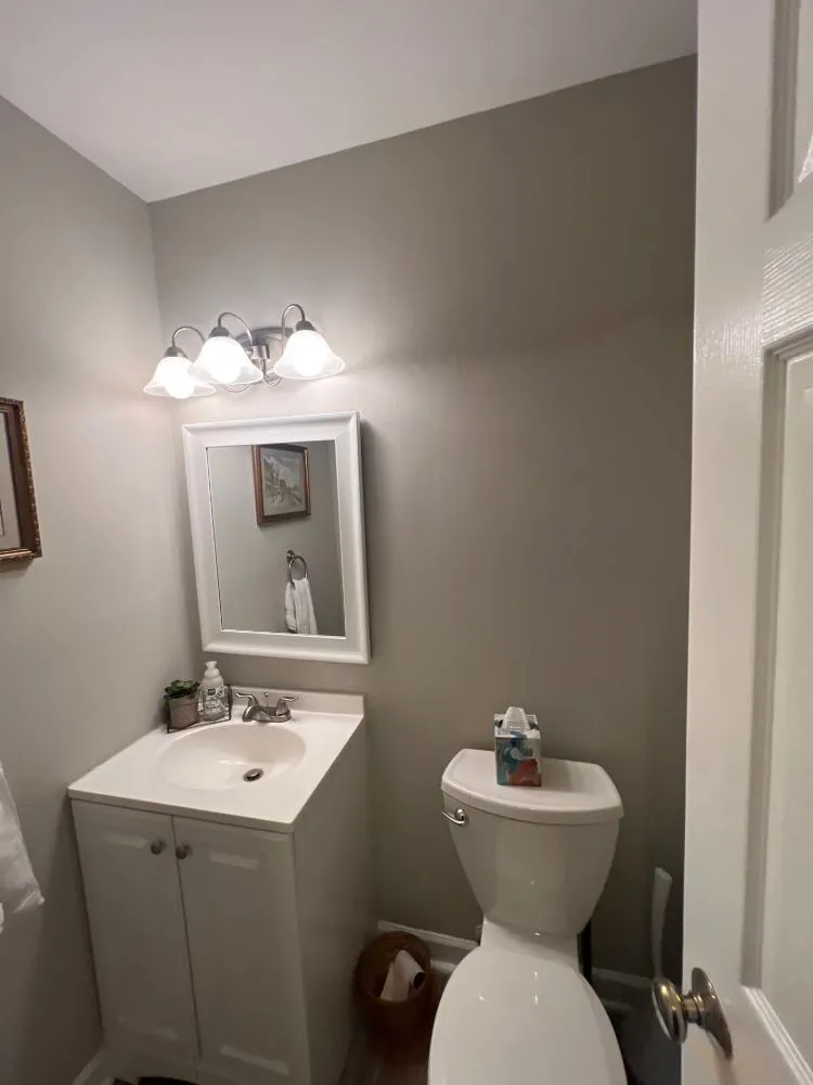 Slide of DMD Handyman