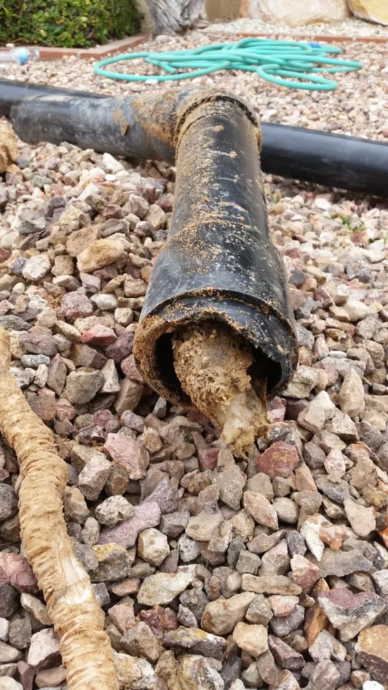 Slide of DMS Plumbing