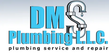 Slide of DMS Plumbing
