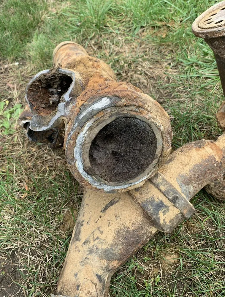 Slide of DNA Honest Plumbing