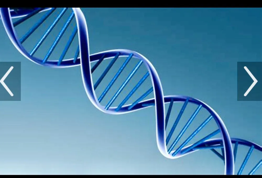 Reliable plumbing repair service in Bronx, NY - DNA Plumbing Contractors