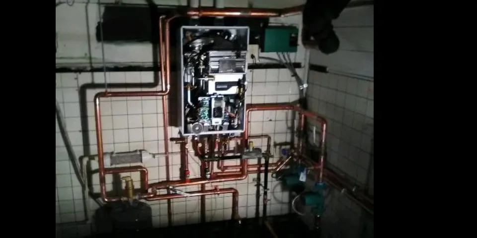 Slide of DNA Plumbing