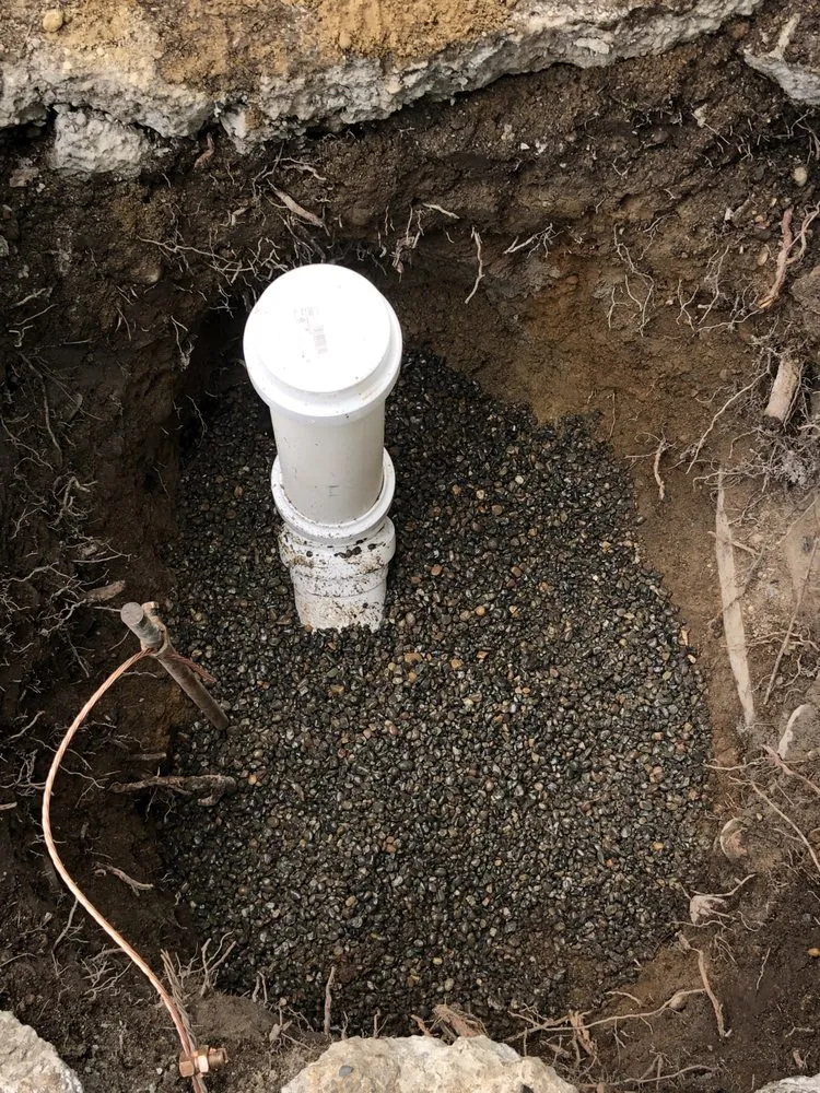 Slide of DNA Plumbing