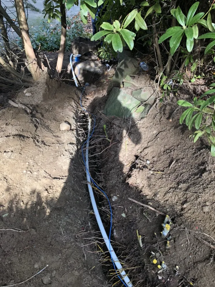 Slide of DNA Plumbing