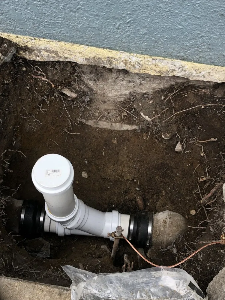 Slide of DNA Plumbing