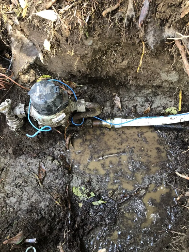 Slide of DNA Plumbing