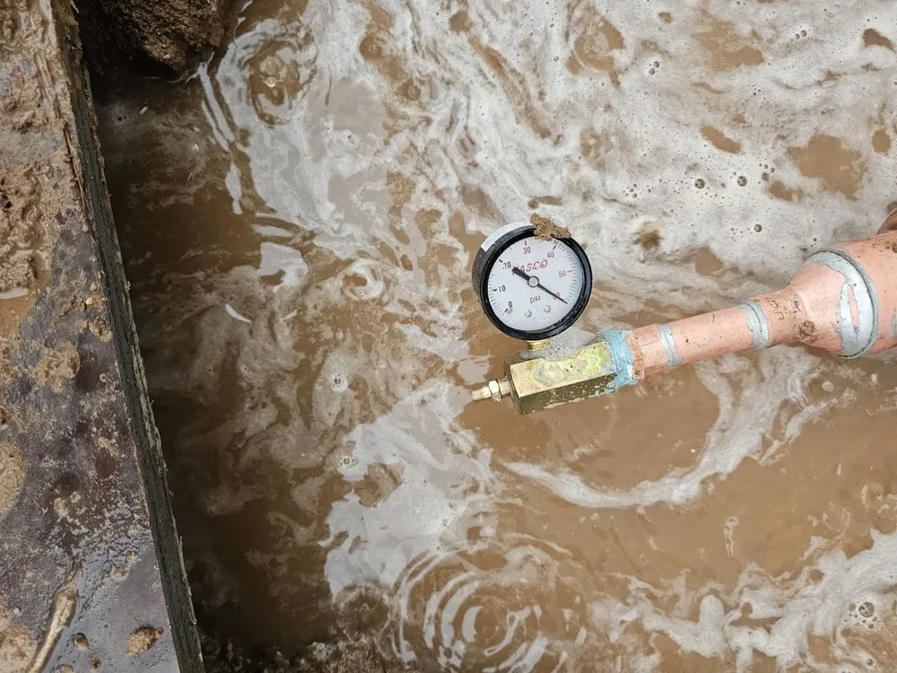 Slide of Dna Plumbing