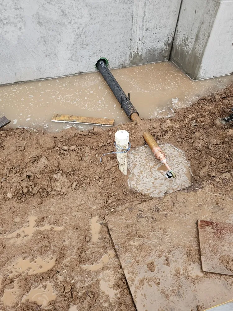 Slide of Dna Plumbing