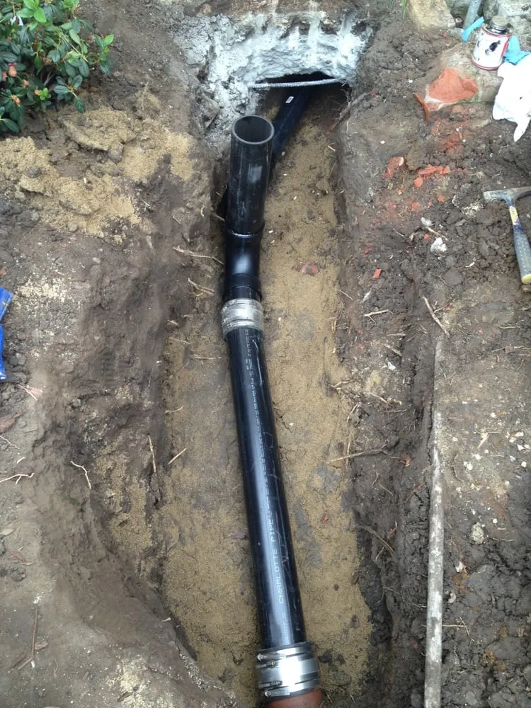 Slide of DNA Rooter and Plumbing