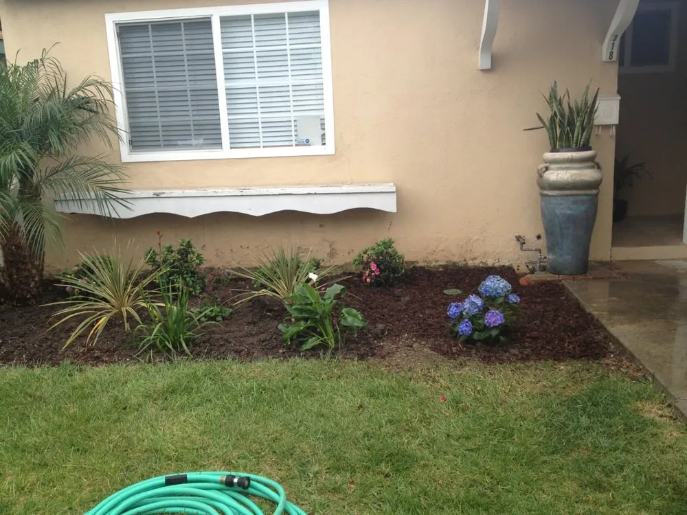 Slide of DNA Rooter and Plumbing