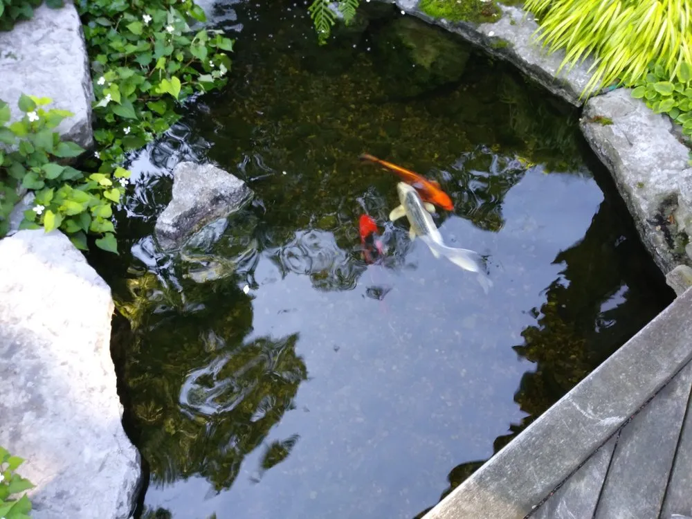 Slide of DO it all Home Services