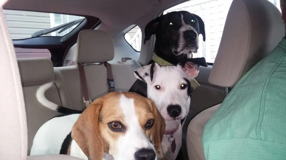 Slide of Do It Right Plumbing