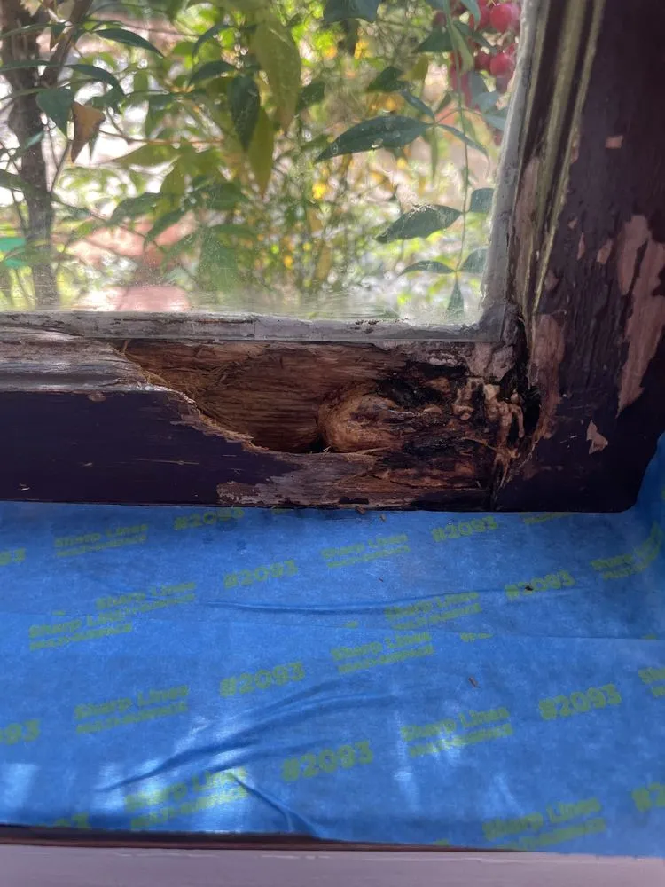 Professional leak detection experts serving Whittier, CA - Do Right Right Now Handyman Services