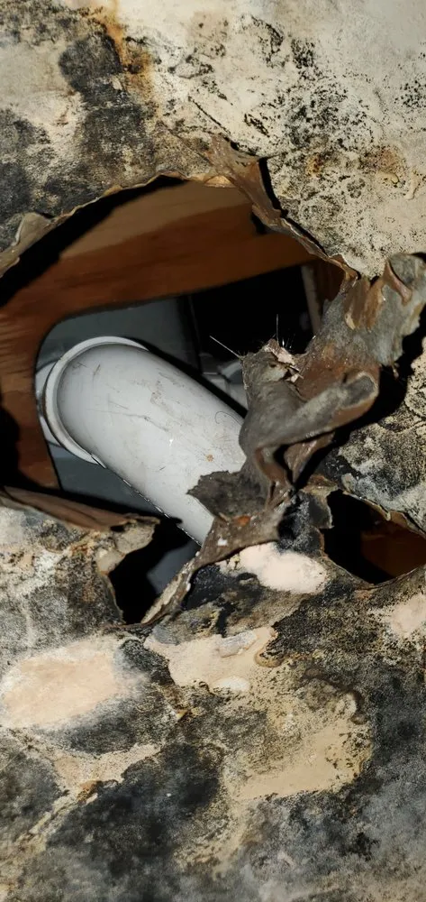 Slide of Do Right Rooter Drain Specialists