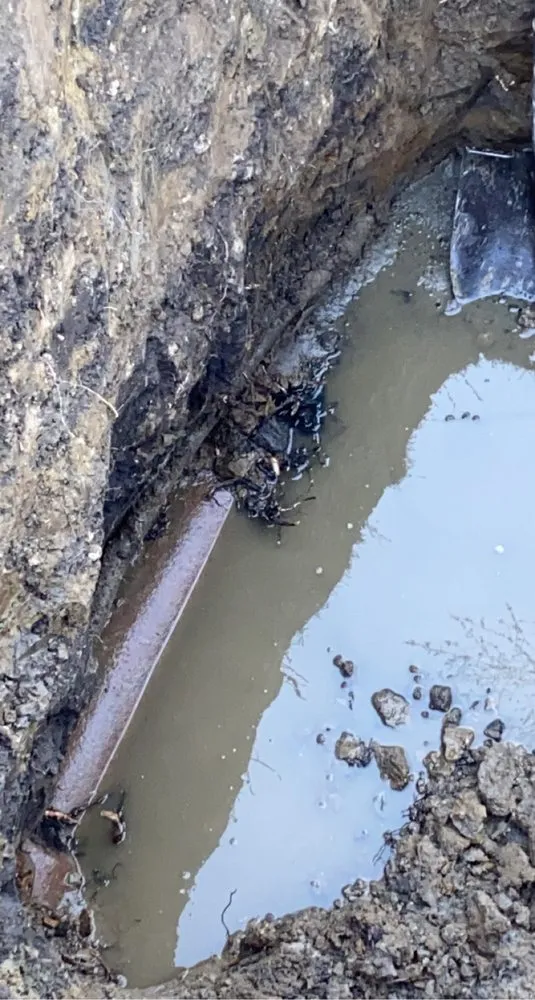 Affordable drain cleaning in Bridgeview, IL by Do Right Rooter Drain Specialists