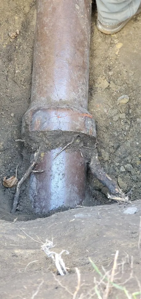 Professional water heater service for homes in Bridgeview, IL by Do Right Rooter Drain Specialists