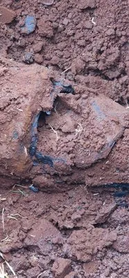 DOB Plumbing & Maintenance Logo