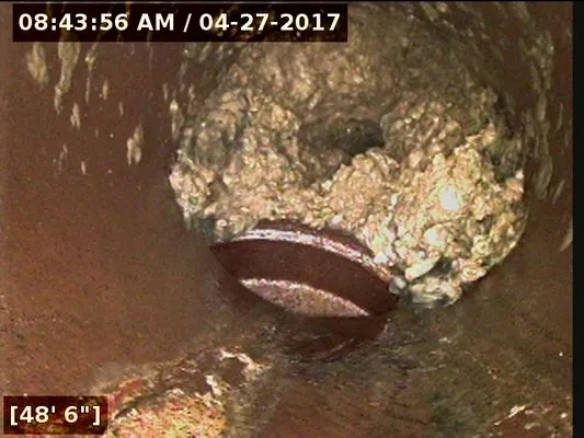 Doc Mechanical Full Service Plumbing Logo