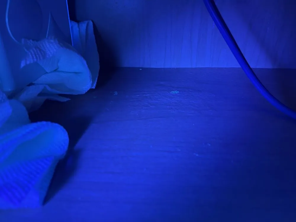 Slide of Dockside Plumbing