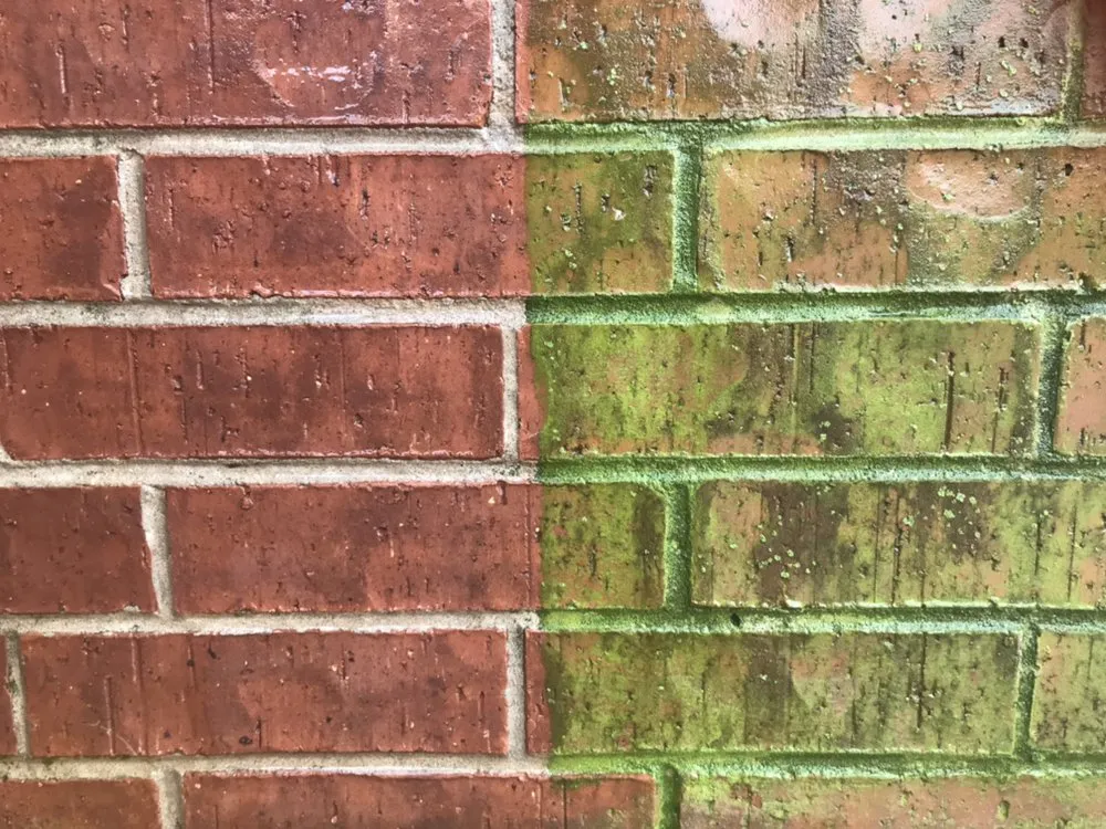 Slide of Dockside Services