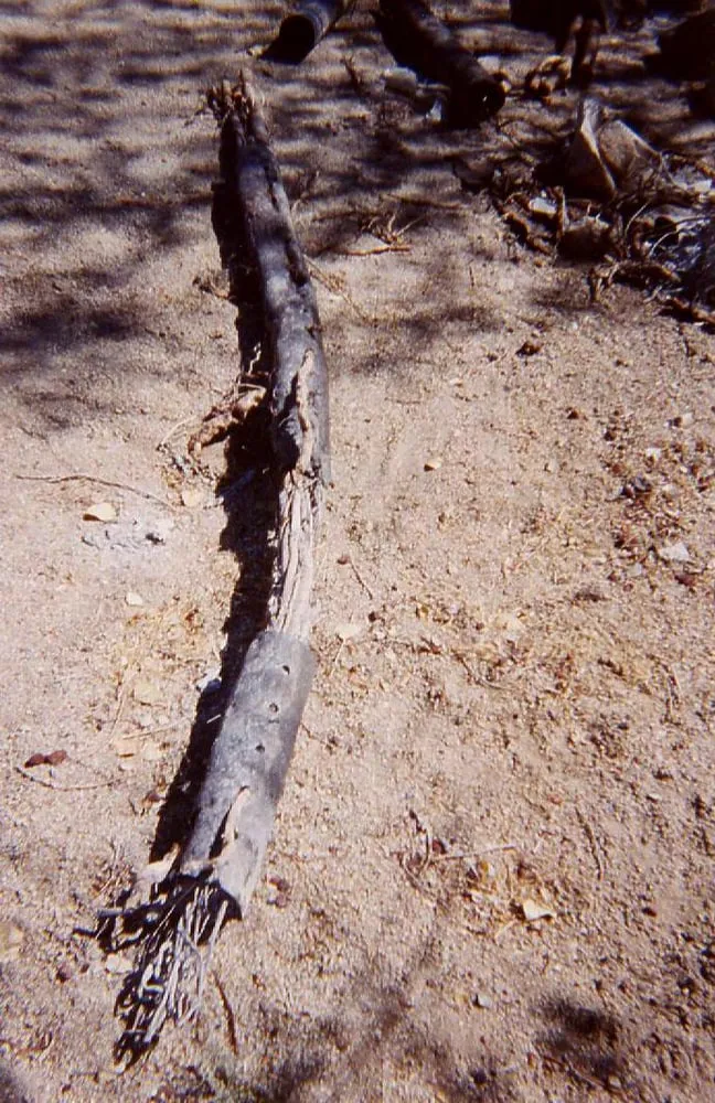 Slide of Doctor Drain Plumbing