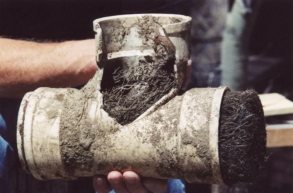 Slide of Doctor Drain Plumbing